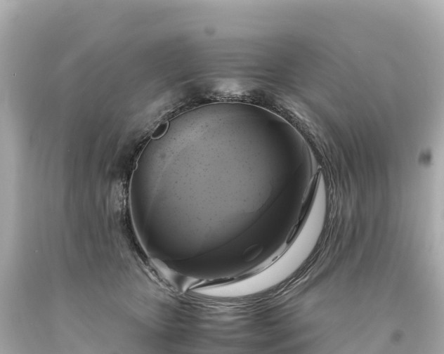 X0000094220467200711021143