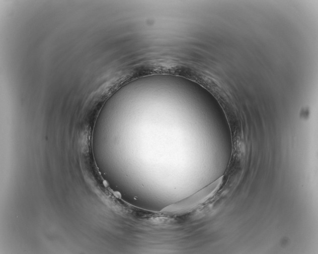 X0000094220468200711021143