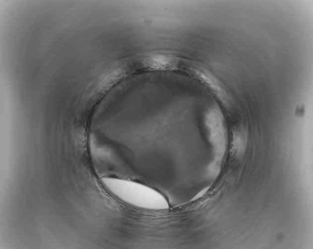 X0000094220469200711021143