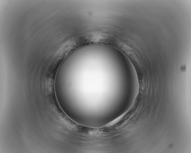 X0000094220470200711021143