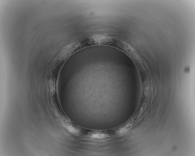 X0000094220471200711021143