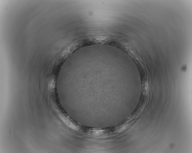 X0000094220472200711021143