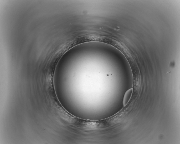 X0000094220473200711021143