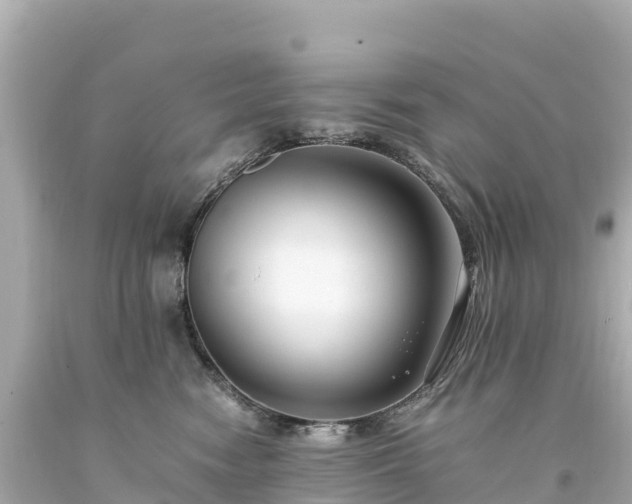 X0000094220474200711021143