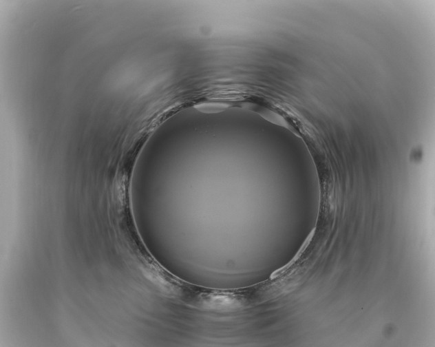 X0000094220475200711021143