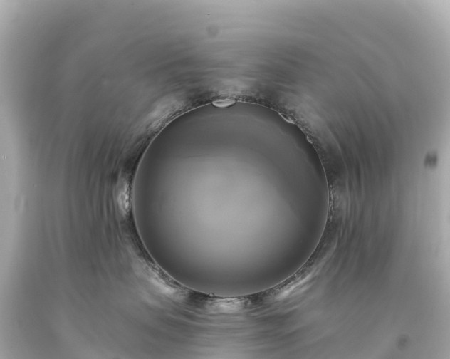 X0000094220479200711021143