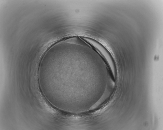 X0000094220481200711021143