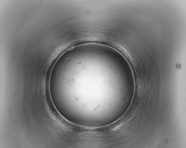 X0000094220482200711021143