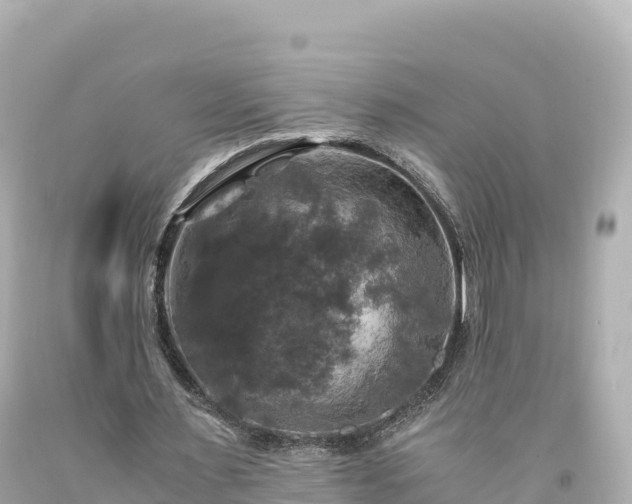 X0000094220483200711021143