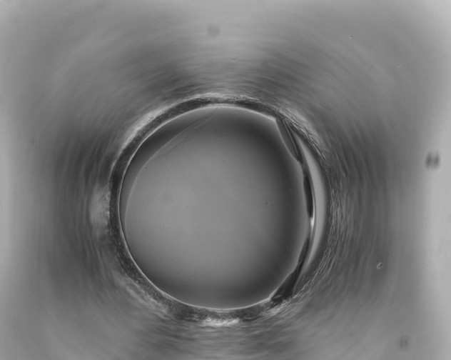 X0000094220484200711021143