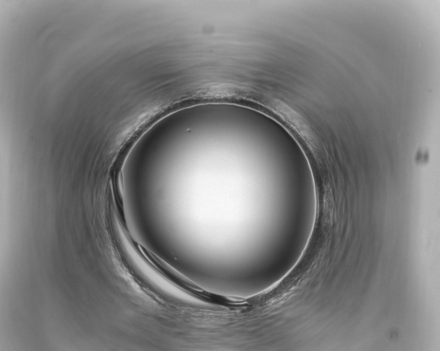 X0000094220485200711021143