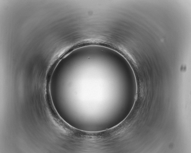 X0000094220486200711021143