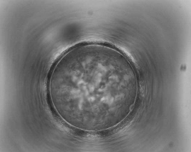 X0000094220487200711021142