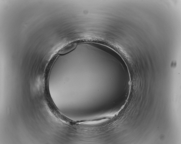 X0000094220488200711021142