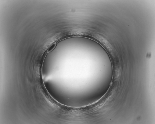 X0000094220489200711021142