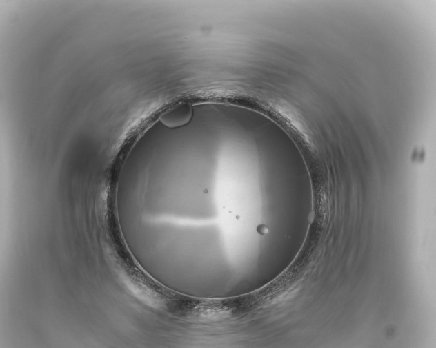 X0000094220491200711021142