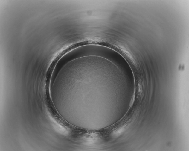 X0000094220492200711021142