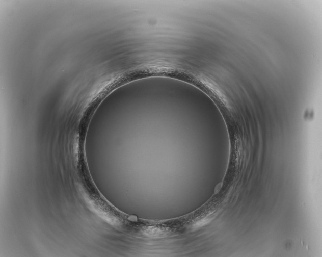 X0000094220494200711021142