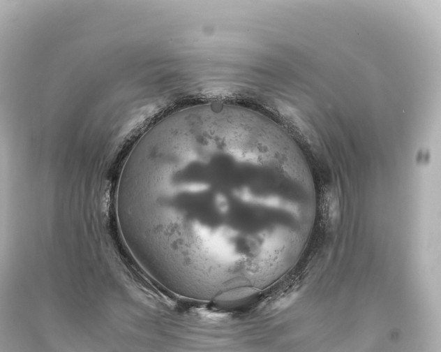 X0000094220495200711021142