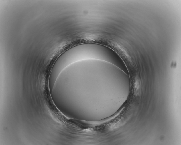 X0000094220496200711021142