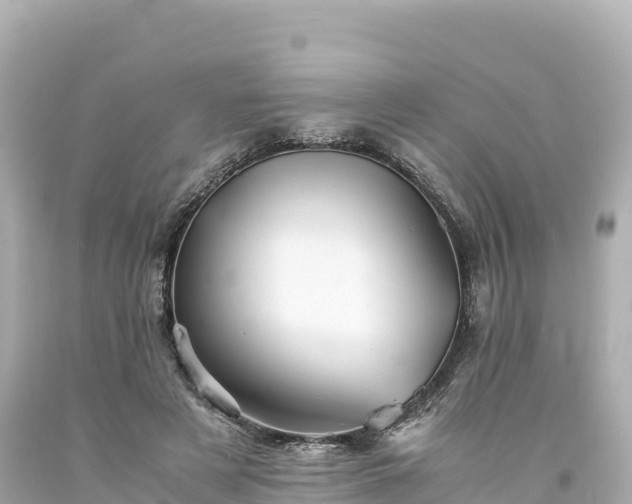 X0000094220497200711021142