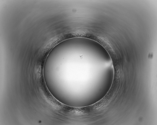 X0000094220498200711021142