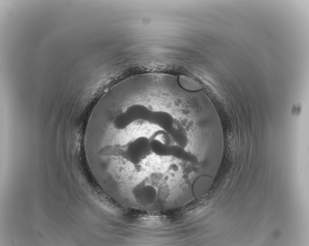 X0000094220499200711021142