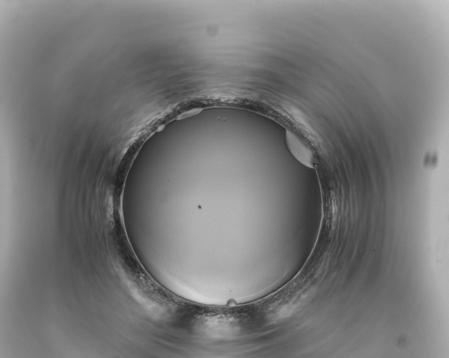 X0000094220500200711021142