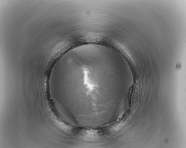 X0000094220501200711021142