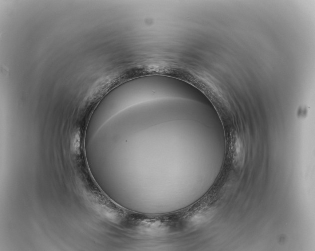 X0000094220502200711021142