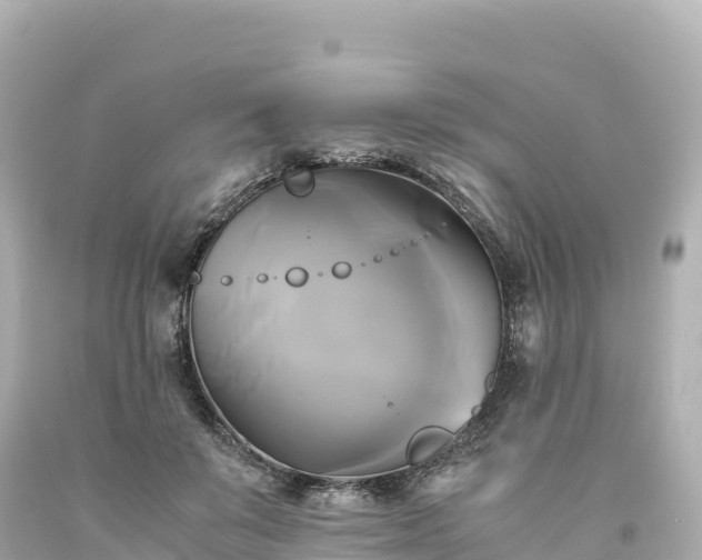 X0000094220503200711021142