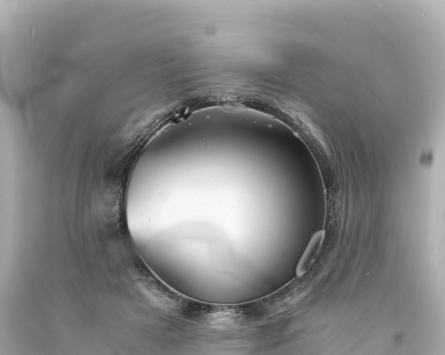 X0000094220505200711021142