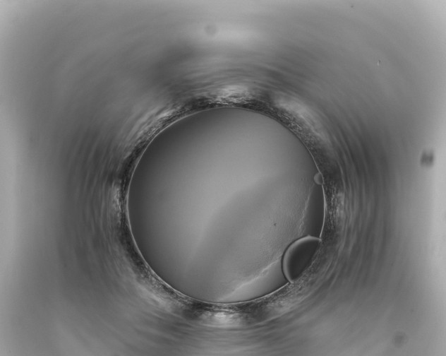 X0000094220506200711021142