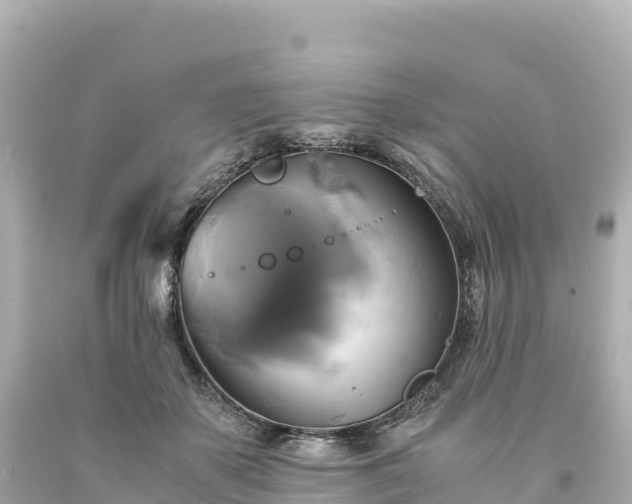 X0000094220507200711021142