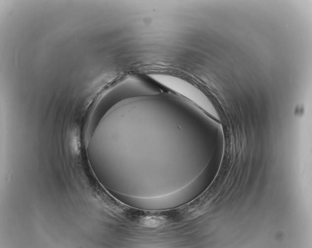 X0000094220508200711021142