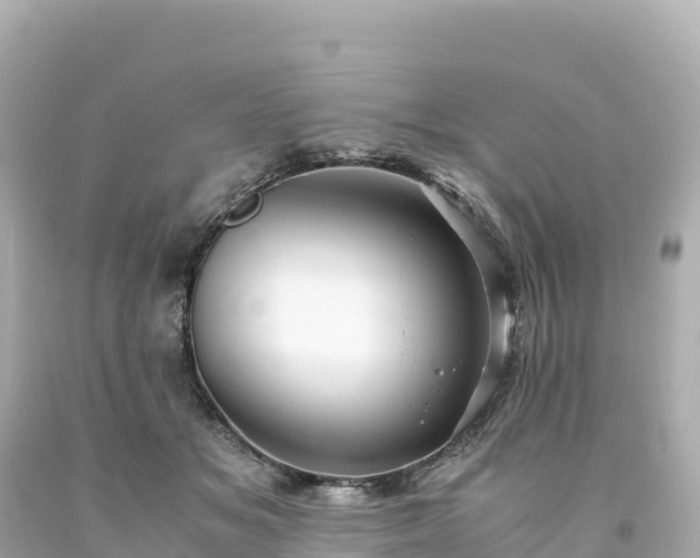 X0000094220509200711021142