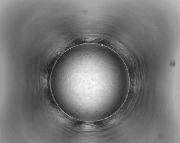 X0000094220510200711021142