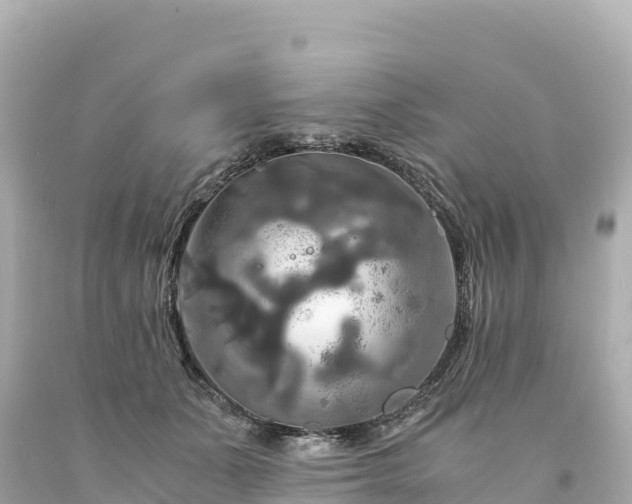 X0000094220511200711021142