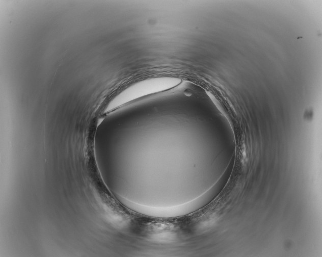 X0000094220512200711021142