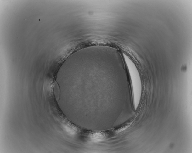 X0000094220513200711021142