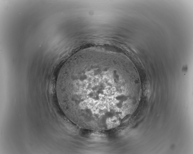 X0000094220515200711021142