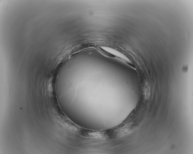 X0000094220516200711021142