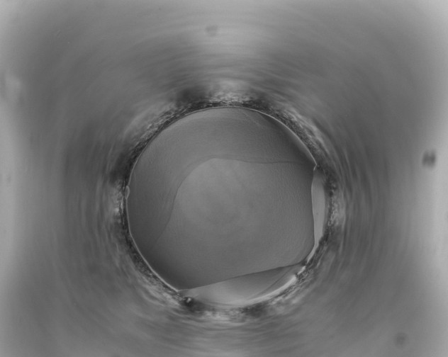 X0000094220517200711021142