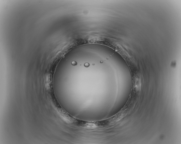 X0000094220519200711021142