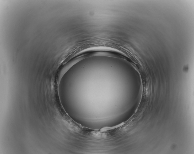 X0000094220520200711021142