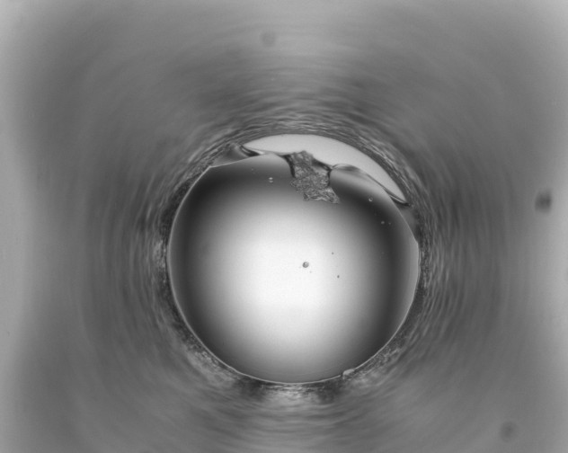 X0000094220521200711021142