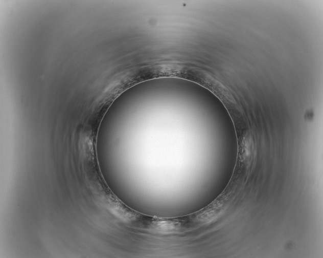 X0000094220522200711021142