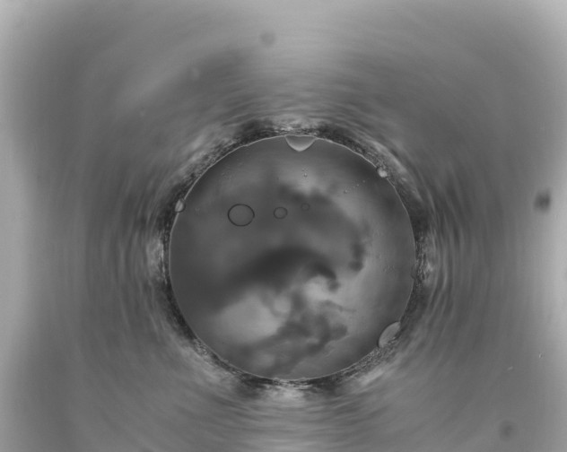 X0000094220523200711021142