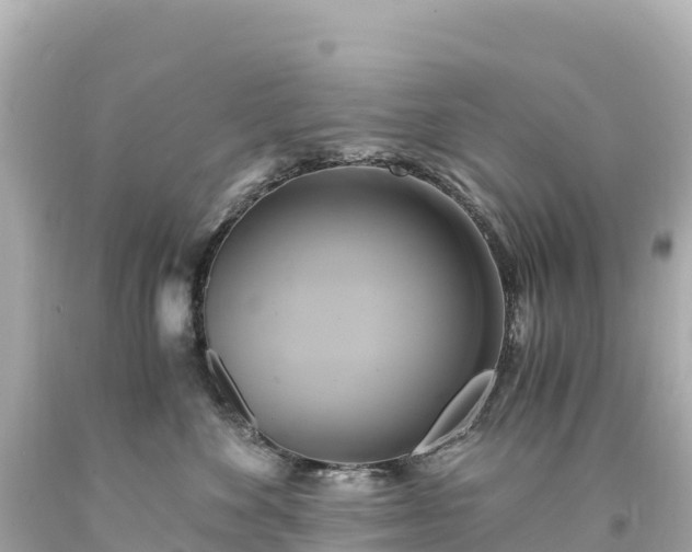 X0000094220524200711021142