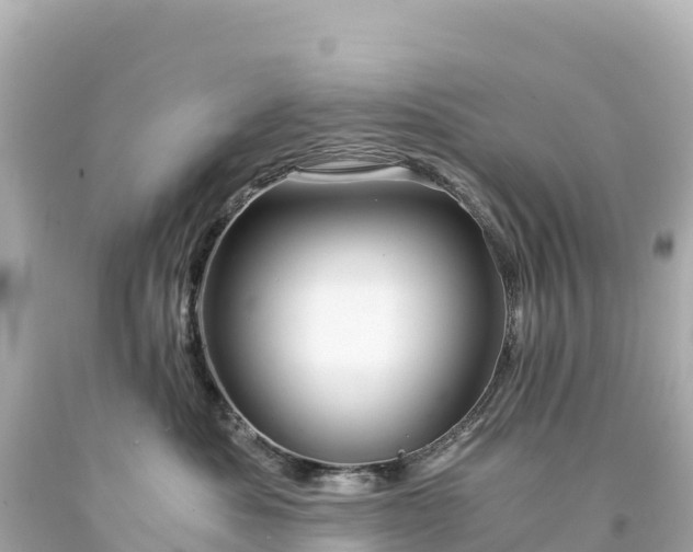 X0000094220525200711021142